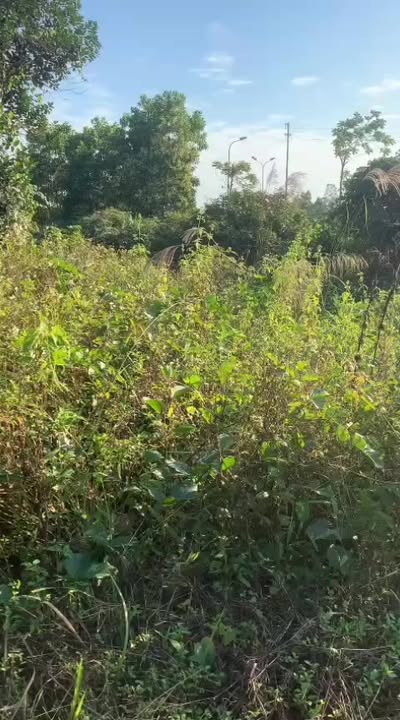 Đất nền Quảng Điền 146.8m² giá chỉ 1 tỷ - Đầu tư sinh lời ngay!