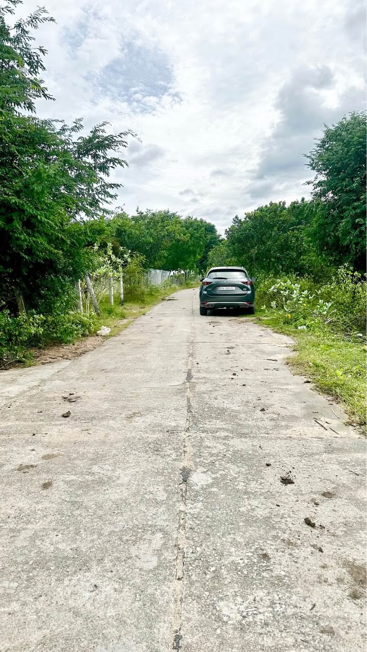 Đất Farm 8000m² Tân Mỹ, Khánh Hòa - Giá chỉ 3xx triệu - Đầu tư sinh lời ngay!