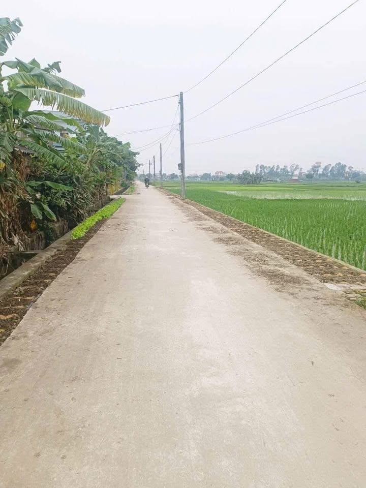 Đất thổ cư 133m² Thôn Đan Hội, Hưng Hà - Pháp lý rõ ràng, giao thông thuận tiện!