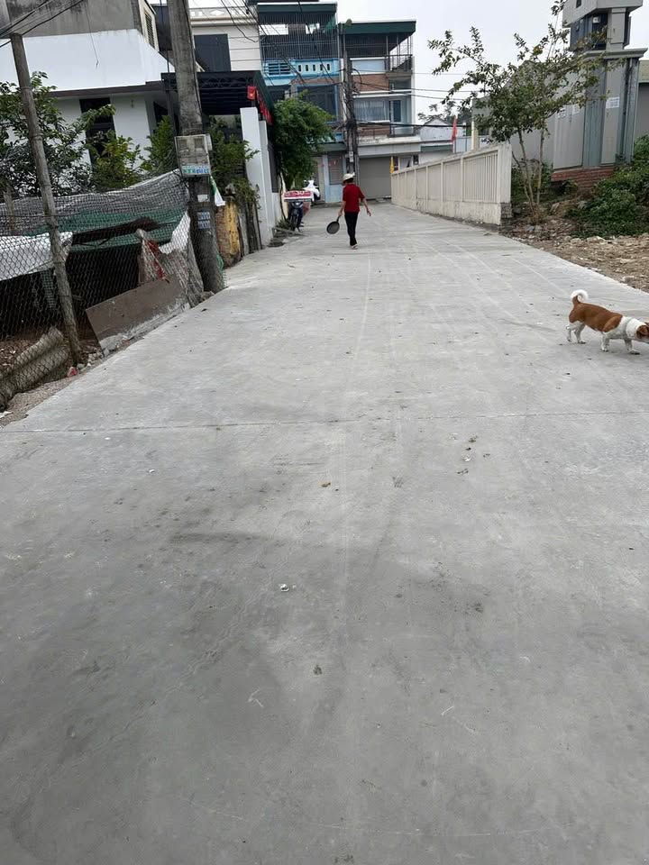 Nhà riêng Đông Hương, Thanh Hóa 84m² giá chỉ 2.65 tỷ - Đất vuông vắn, ô tô vào tận nơi!