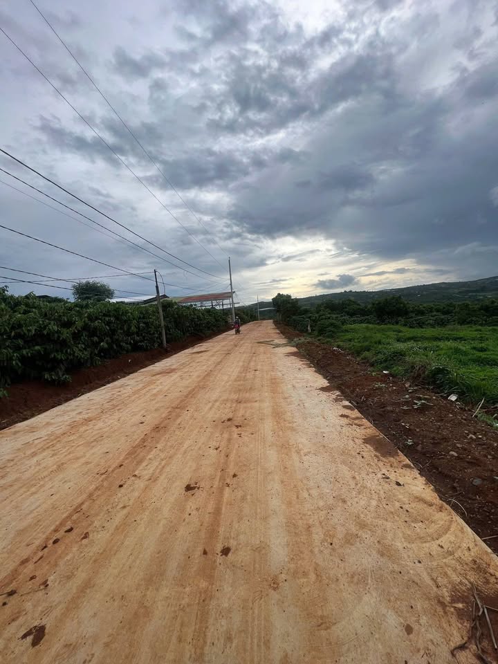 Đất nền Tân Hội, Đức Trọng 3600m² giá 950 triệu - Đầu tư sinh lời ngay!