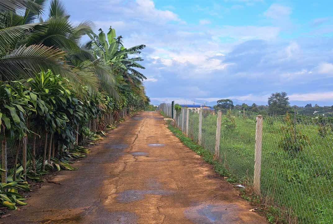 Đất nền Lộc Nga Bảo Lộc 1200m² giá 1.8 tỷ - Cơ hội đầu tư tuyệt vời!