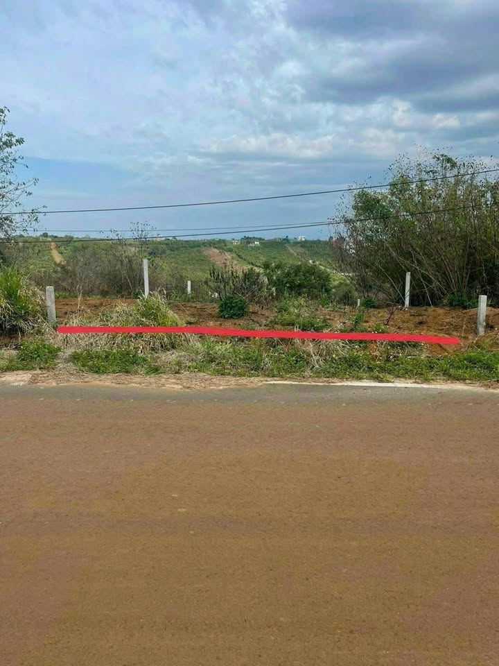 Đất nền mặt tiền đường Nguyễn An Ninh, Bảo Lộc 171m² giá 1.4 tỷ - Đầu tư sinh lời ngay!