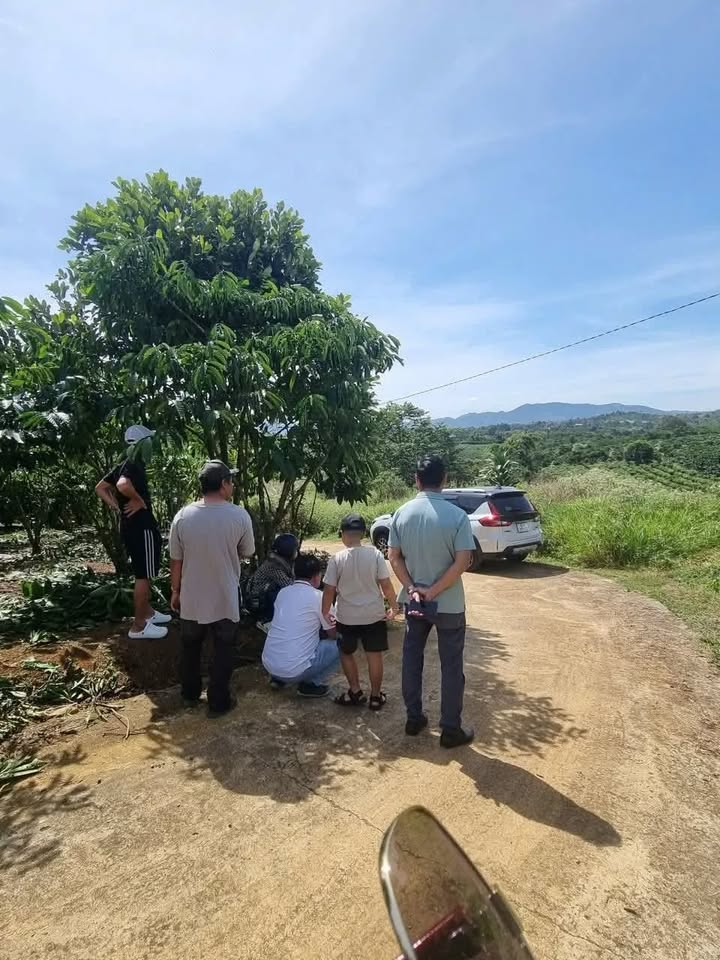 Đất nền Lộc An Bảo Lâm 729m² giá chỉ 650 triệu - Đường bao quanh thuận tiện!