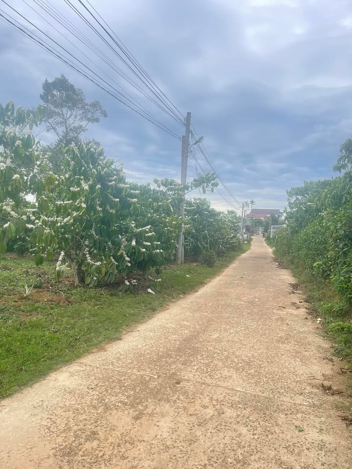 Đất thổ cư 470m² Thôn 11 Lộc Ngãi giá 1.55 tỷ - Đầu tư sinh lời ngay!