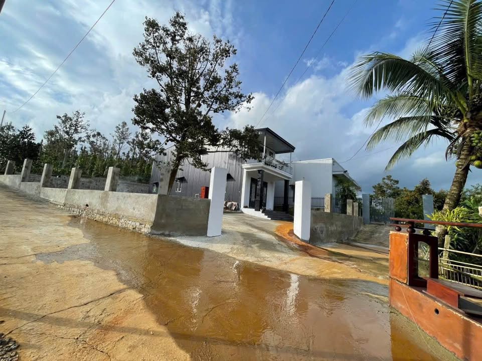 Đất nền hẻm xe hơi Phường 3 Bảo Lộc 739m² giá chỉ 1,3 tỷ - Cơ hội đầu tư không thể bỏ lỡ!