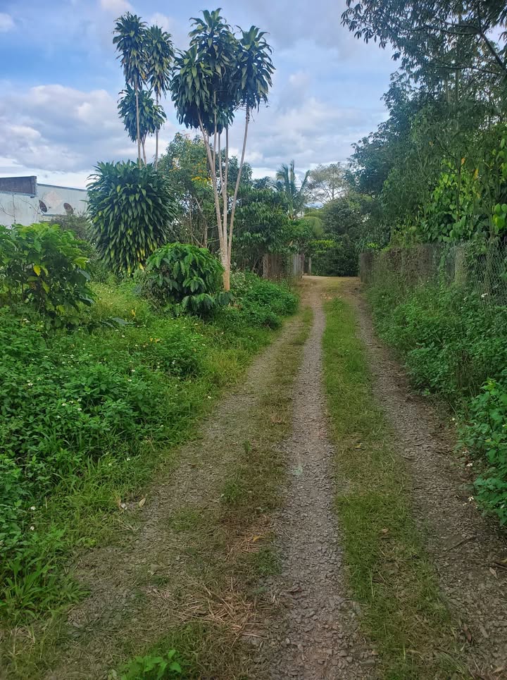 Đất thổ cư 150m² Tân Lạc Bảo Lâm giá 430 triệu - Đầu tư sinh lời ngay!