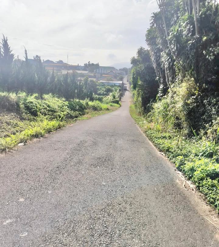 Đất thổ cư Lộc Tiến Bảo Lộc 1600m² giá 8.5 tỷ - Đường nhựa thông thoáng