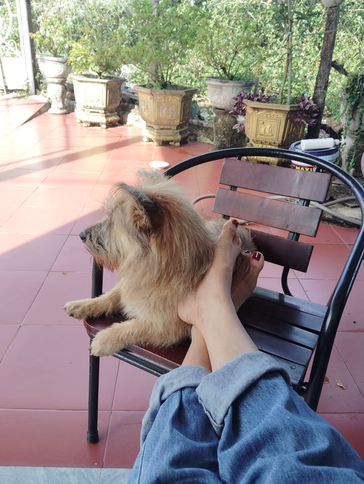 Đất nền Hàn Thuyên, Pleiku 135m² giá chỉ 440 triệu - Cơ hội đầu tư hấp dẫn!