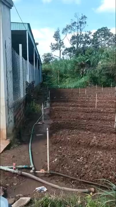 Đất nền siêu đầu tư tại Phạm Văn Hai, An Phú, Pleiku 258m² - Giá thỏa thuận hấp dẫn!