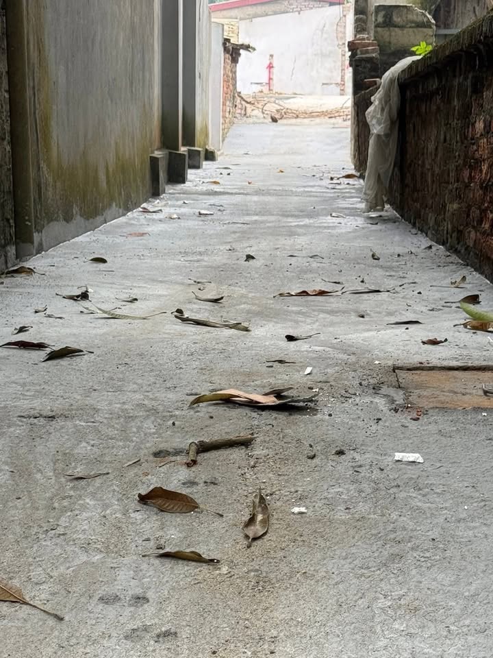 Đất nền phường Hùng Vương, Phúc Yên 67m² giá 1 tỷ - Đầy đủ tiện ích xung quanh!