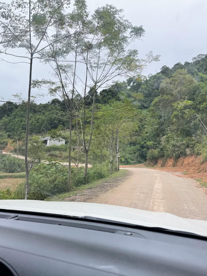 Đất Farm Đổng Xá Na Rì 2,6ha giá chỉ 1,05 tỷ - Cơ hội đầu tư tuyệt vời!