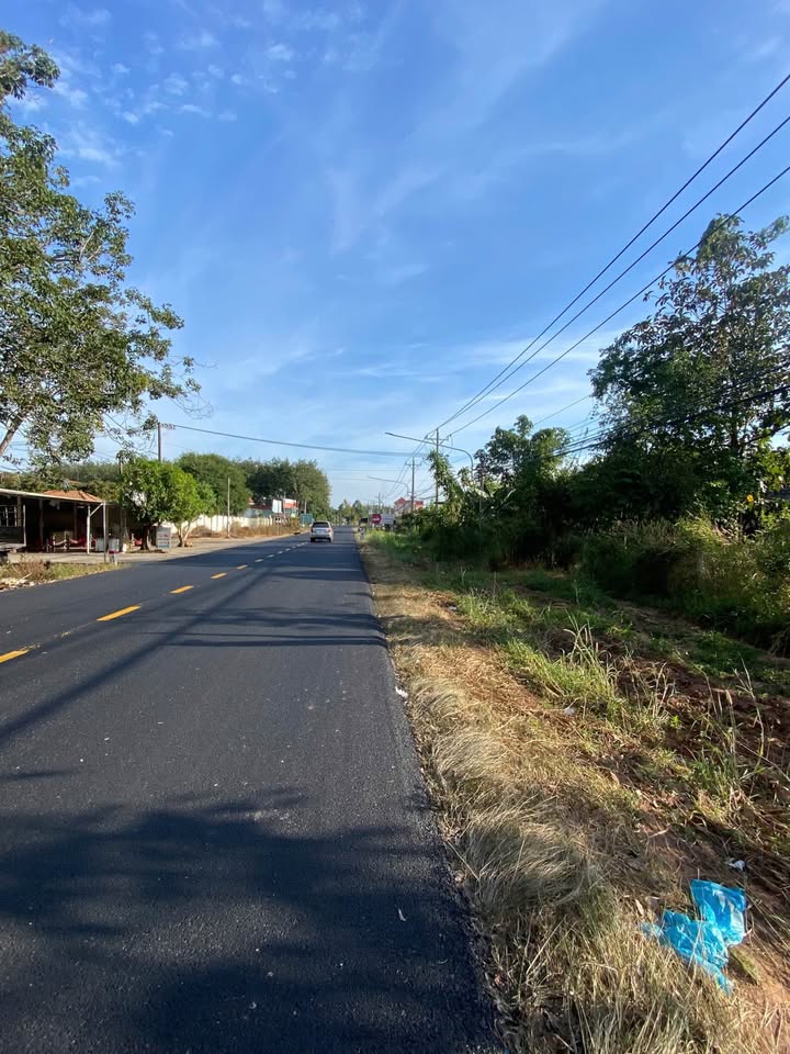 Đất nền Long Nguyên, Bàu Bàng 9000m² chỉ 17 tỷ - Đầu tư sinh lời ngay!