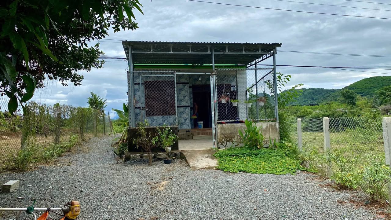 Đất tặng nhà tại thôn Sơn Thành, Khánh Phú 1142m² giá chỉ 999 triệu - Sổ đỏ chính chủ!