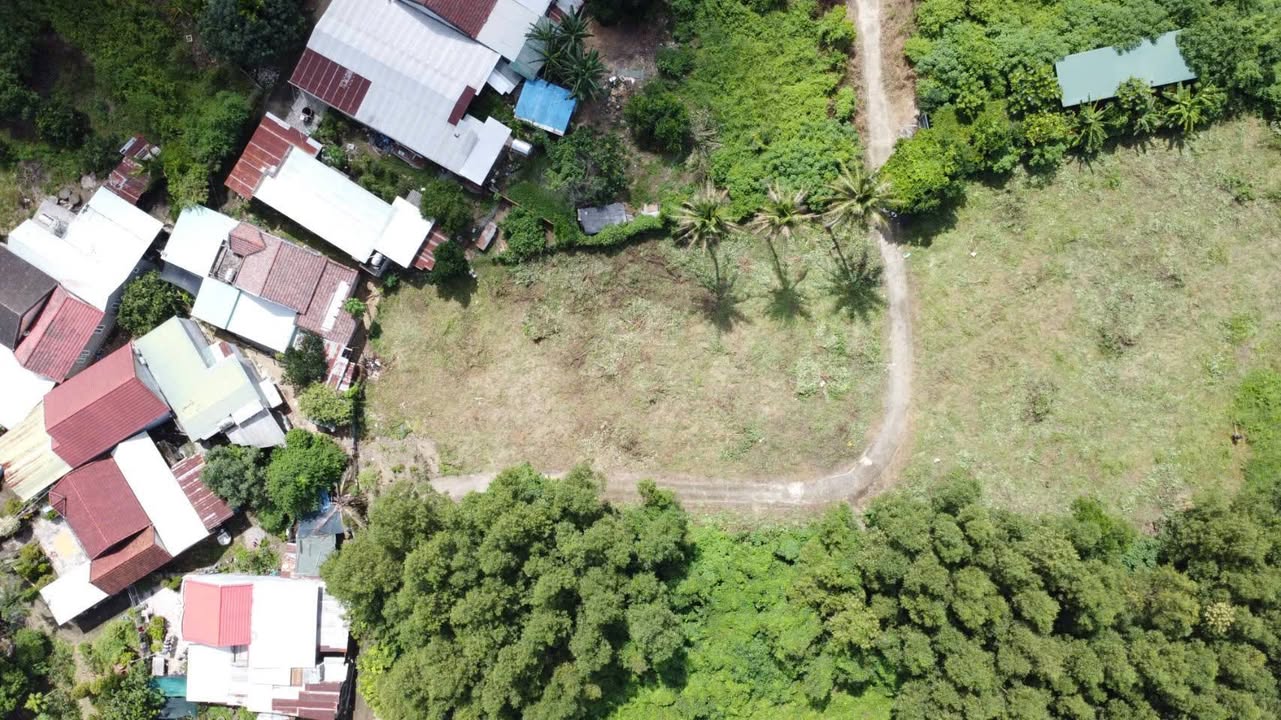 Bán đất Thôn Bình Khánh, Diên Hòa 114m² giá chỉ 999 triệu - Tiềm năng sinh lời vượt trội!