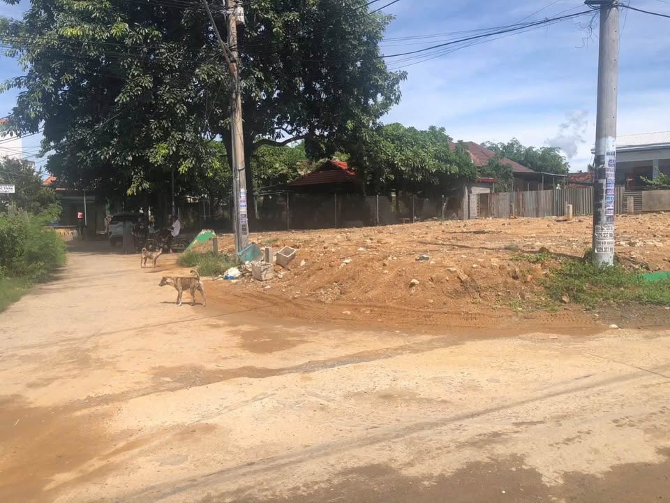 Đất nền Phú Lộc Tây 4, Diên Khánh 84m² giá 1.249 tỷ - Cơ hội đầu tư sinh lời!