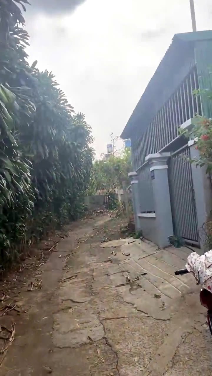 Nhà cho thuê hẻm Lam Sơn, Lộc Sơn 2PN giá 4.3 triệu - Tiện nghi đầy đủ!