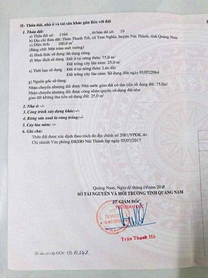 Đất nền Tam Nghĩa, Núi Thành 100m² chỉ 600 triệu - Cơ hội đầu tư hấp dẫn!