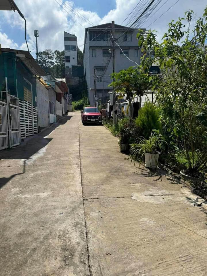 Đất Hẻm Tôn Thất Tùng P8 Đà Lạt 110m² giá 1,2 tỷ - Tiềm năng đầu tư tốt!