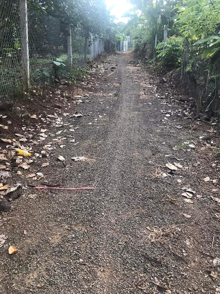 Đất nền Ngọc Định, Định Quán 1000m² giá 350 triệu - Cơ hội đầu tư hấp dẫn!