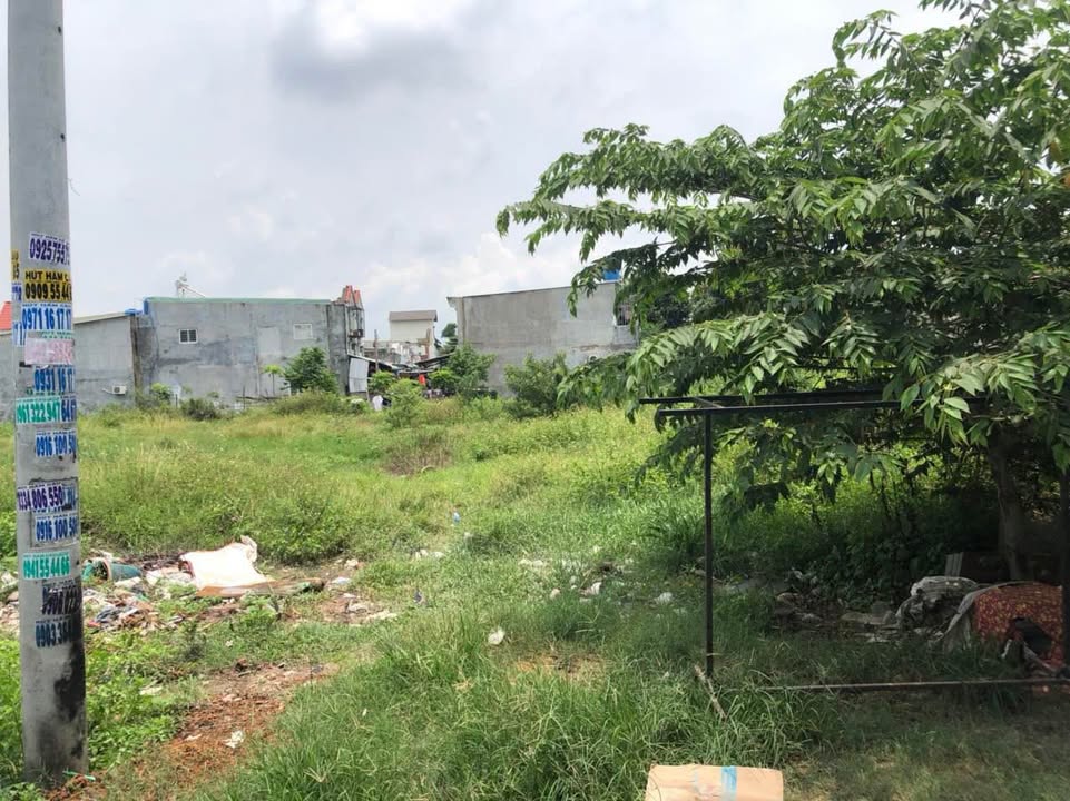 Đất Tân Phước Khánh 537m² giá 4.2 tỷ - Cần bán gấp, cơ hội đầu tư tốt!