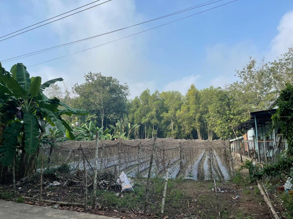 Đất nền Phước Hòa, Phú Giáo 4956m² giá 9 tỷ - Cơ hội đầu tư sinh lời!