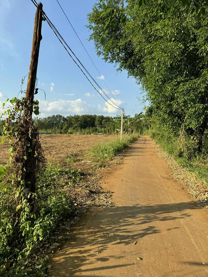 Đất nền Dầu Tiếng 1000m² giá 125 triệu - Gần chợ Thanh An, cơ hội đầu tư tuyệt vời!