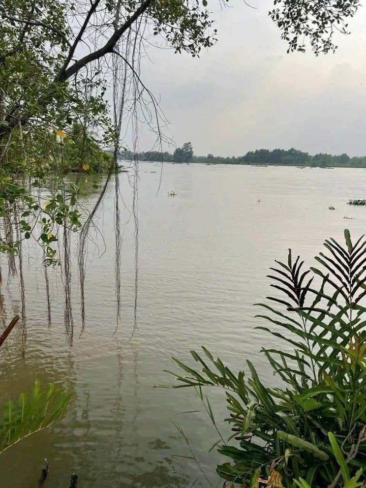 Cho thuê kho 650m² tại Happy One, Thủ Dầu Một - Diện tích rộng, phù hợp ngành sạch