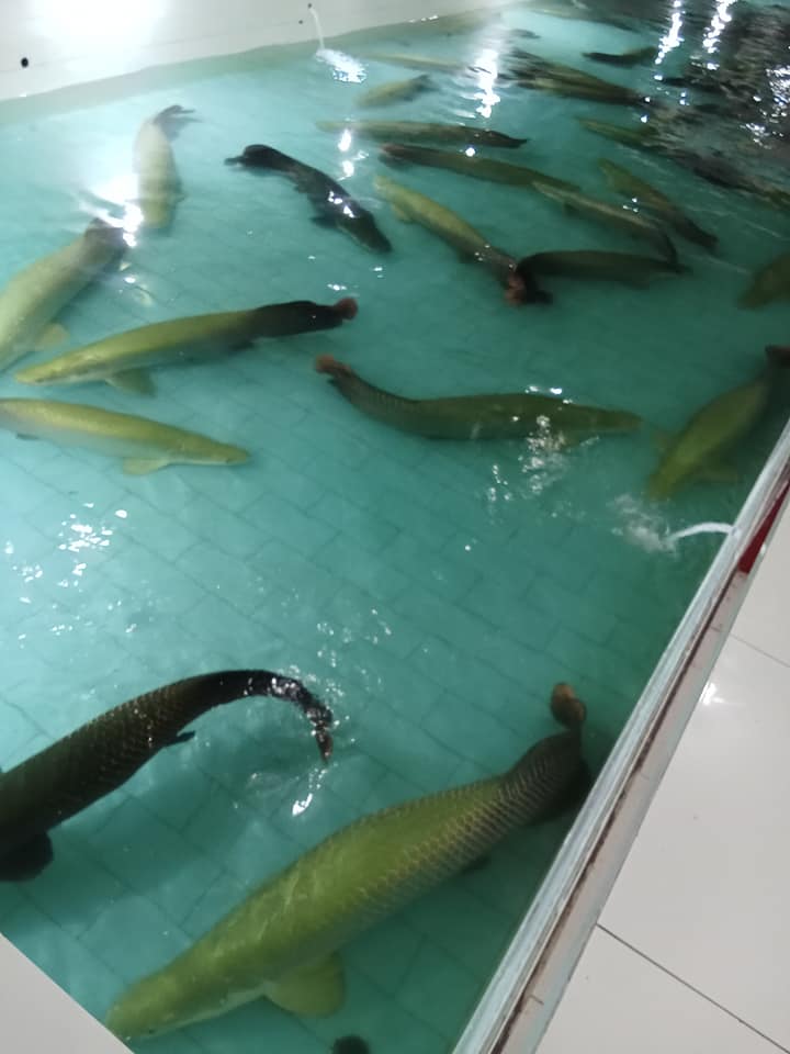 Lô đất mặt tiền đường QL 55, xã Suối Kiết, 500m² giá 6 tỷ - Cơ hội đầu tư tuyệt vời!