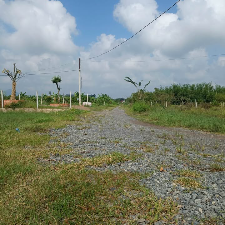 Đất nền Suối Đá Dương Minh Châu 172m² giá ngộp - Sổ đỏ chính chủ sẵn sàng giao dịch!