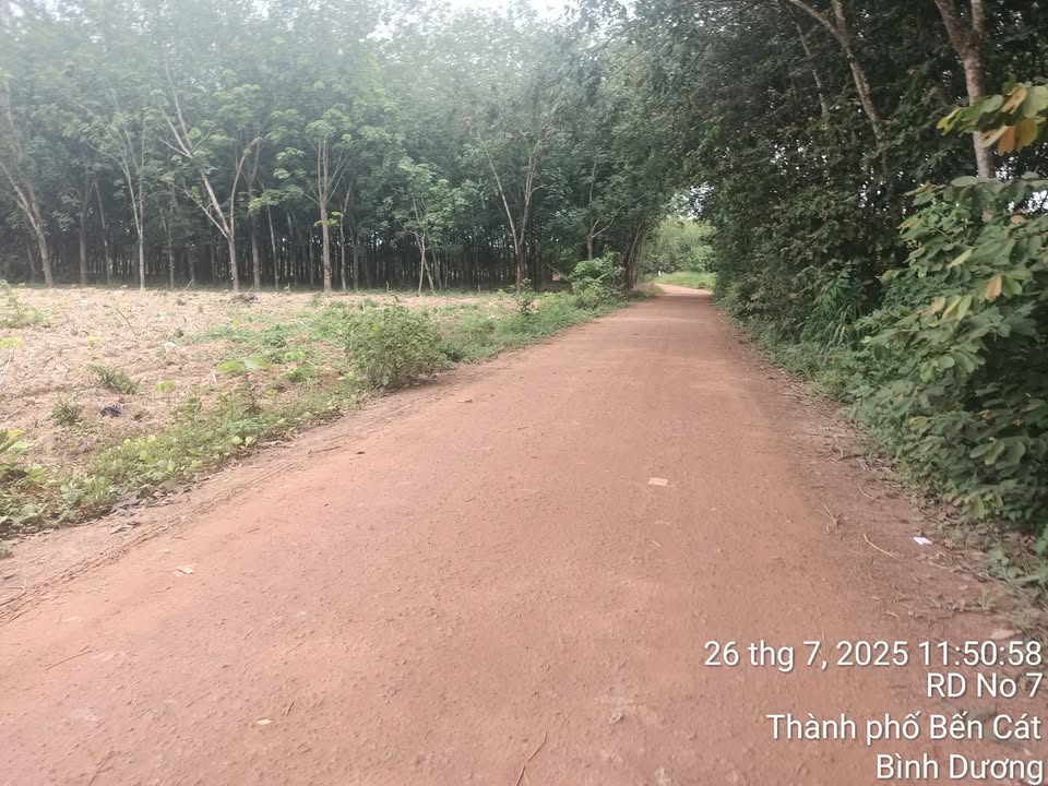 Đất nền đẹp tại Long Nguyên, Bến Cát - 9705m² chỉ 17.47 tỷ - Mặt tiền 71m, vị trí cực kỳ thuận lợi!