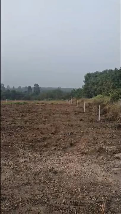 Đất nền Vĩnh Hòa, Phú Giáo 1,8ha giá 22,5 tỷ - Cơ hội đầu tư hấp dẫn!