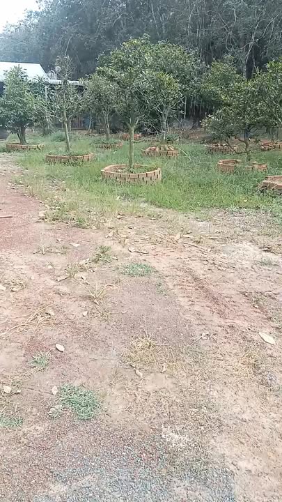 Đất nền lô góc 2 mặt tiền xã Minh Thạnh, Dầu Tiếng 1606m² - Cơ hội đầu tư tuyệt vời!