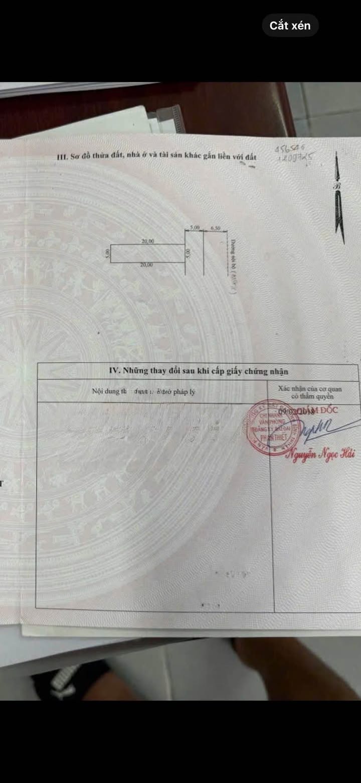 Đất mặt tiền Nguyễn Gia Tú, Phan Thiết 100m² giá chỉ 5 tỷ - Vị trí đắc địa gần công viên