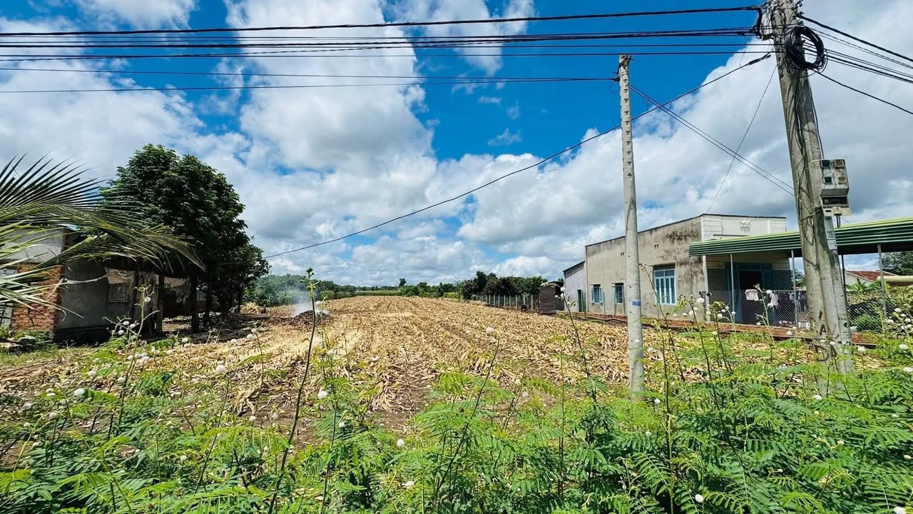 Đất thổ cư thôn 5 Đắk Wil 5200m² giá 1.25 tỷ - Cơ hội đầu tư tuyệt vời!