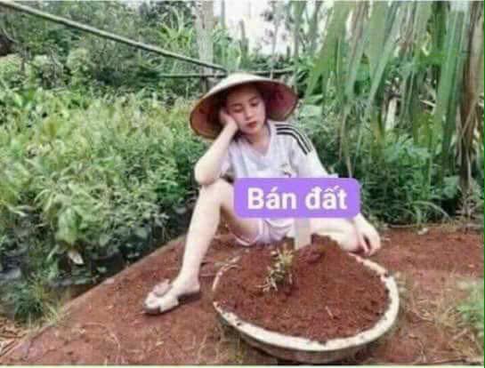 Đất thổ cư 300m² tại Bản Búa, Mộc Châu - Vị trí đẹp, khu dân cư sầm uất!