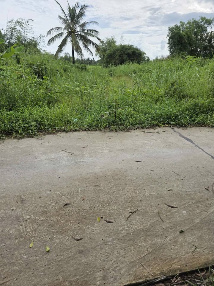 Đất nền xã Bình An, An Giang 540m² giá 666 triệu - Đầu tư sinh lời ngay!