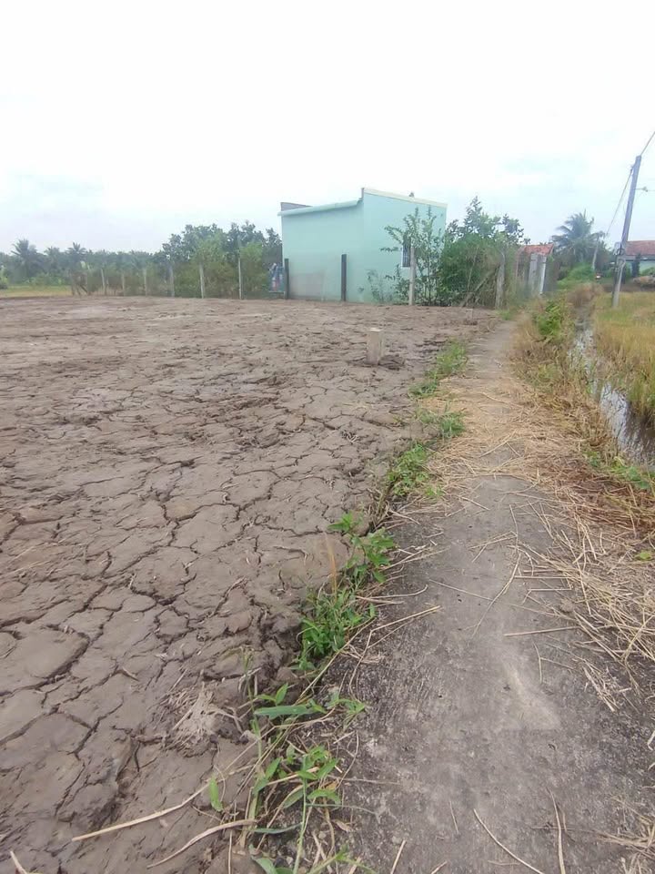 Đất nền Vĩnh Hựu, Gò Công Tây 130m² giá chỉ 175 triệu - Cơ hội đầu tư hấp dẫn!