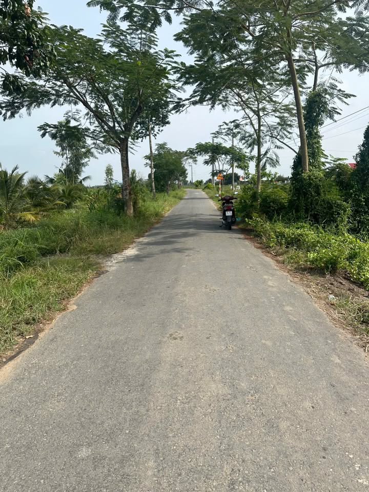 Đất mặt tiền đường Chiến Lược, xã Dương Xuân Hội 1.021m² - Giá chỉ 2 tỷ!