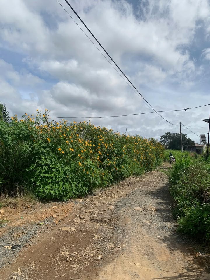 Đất thổ cư 2200m² tại Thạnh Mỹ, Đơn Dương - Giá 3.8 tỷ, đầu tư sinh lời lớn!