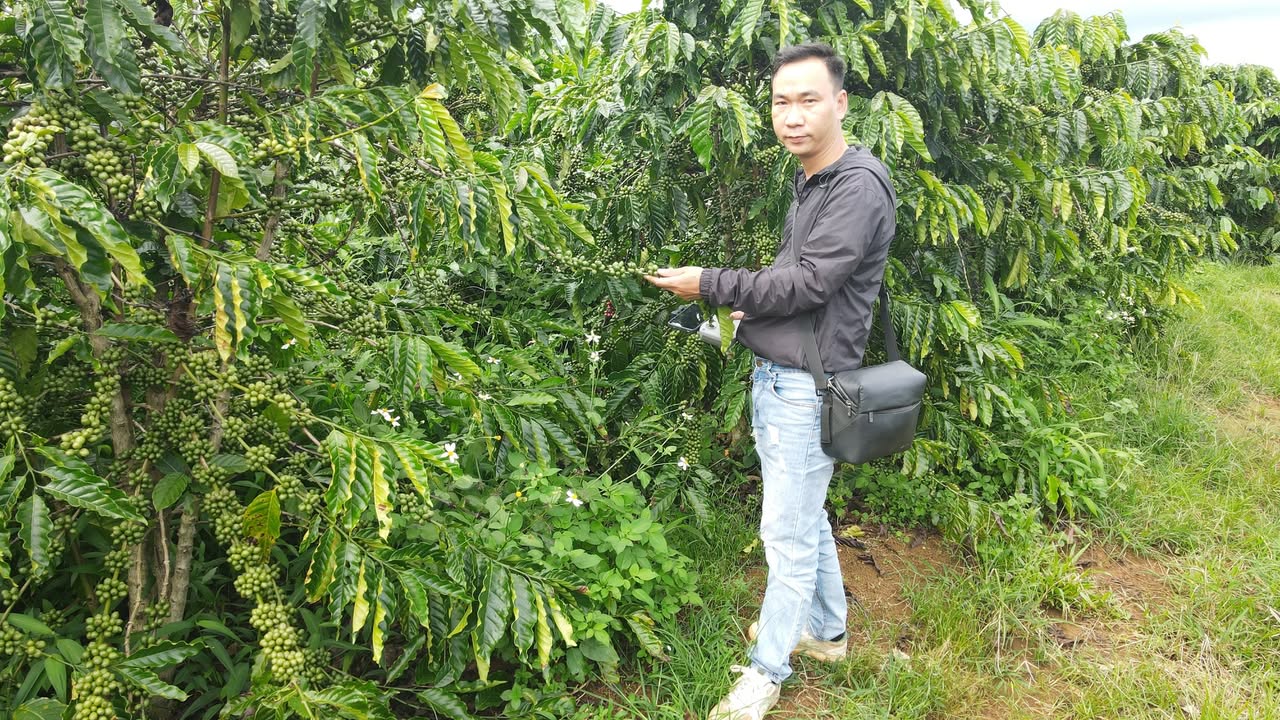 Đất vườn 3 sào tại xã Liên Đầm, Di Linh giá 2,4 tỷ - Cơ hội đầu tư hấp dẫn!