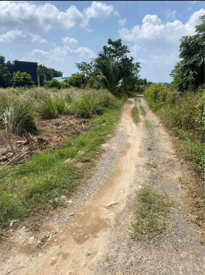 Đất nền Hàm Hiệp 1.800m² giá 1.4 tỷ - Mặt tiền rộng, vuông vức lý tưởng cho nghỉ dưỡng!