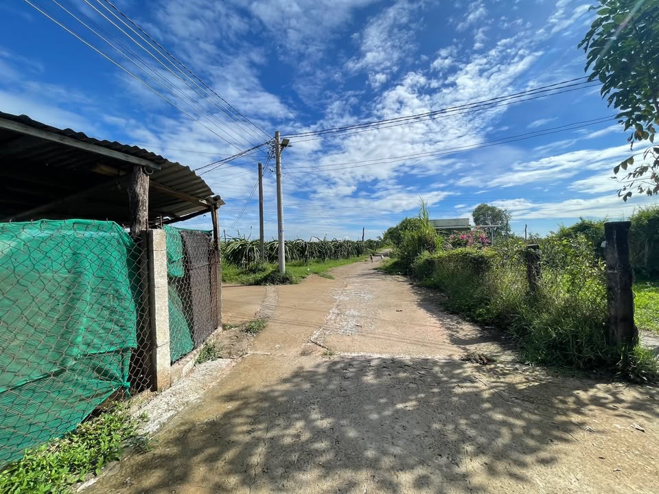 Đất cây trồng thôn 3, xã Hàm Liêm 2900m² giá 2.5 tỷ - Đường ô tô vào tận nơi!