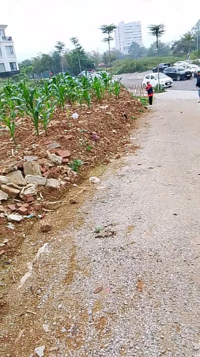 Đất nền 260m² phường Đông Kinh, Lạng Sơn giá 1.3 tỷ - Cơ hội đầu tư hiếm có!