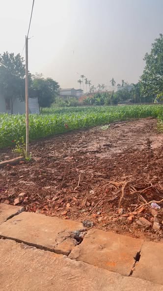 Đất nền Yên Nam, Duy Tiên 68m² giá đầu tư - Cơ hội không thể bỏ lỡ!