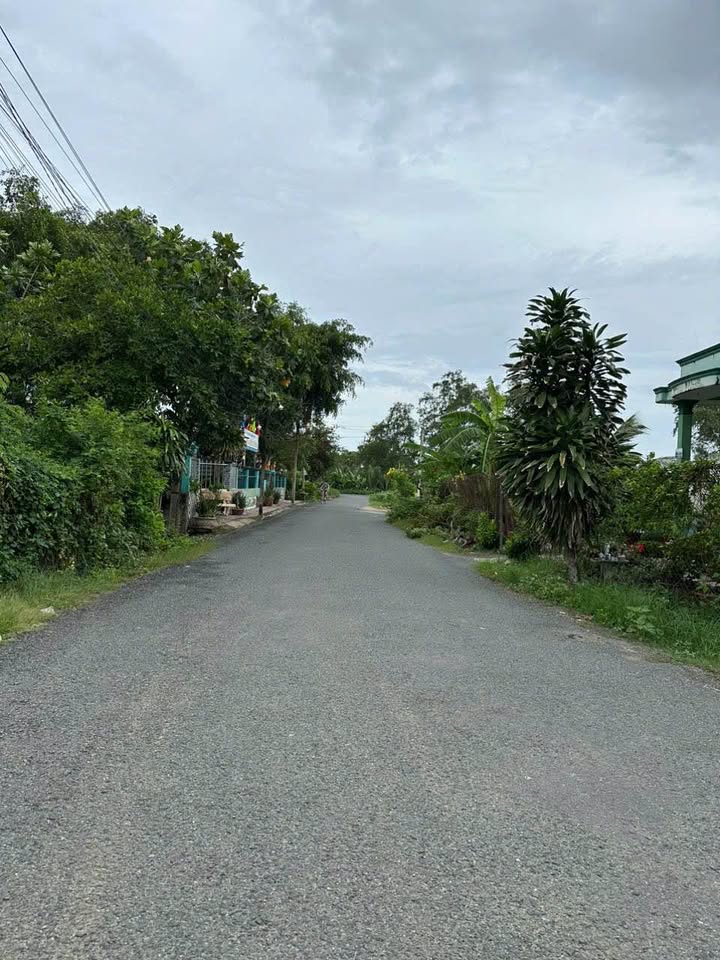 Đất thổ cư mặt tiền đường Nguyễn Quang Đại, Tân An, 227.7m² - Giá chỉ 2.4 tỷ!