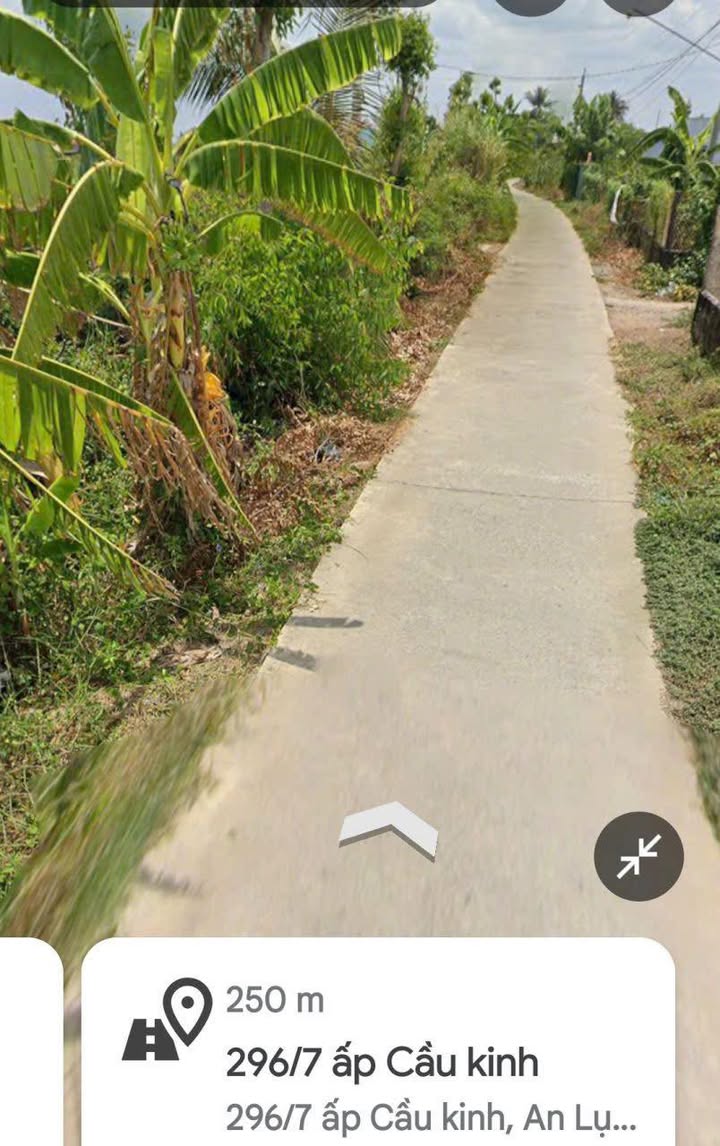 Đất nông nghiệp ấp Cầu Kinh, An Lục Long 80.000m² giá chỉ 3.192 tỷ - Đầu tư sinh lời ngay!