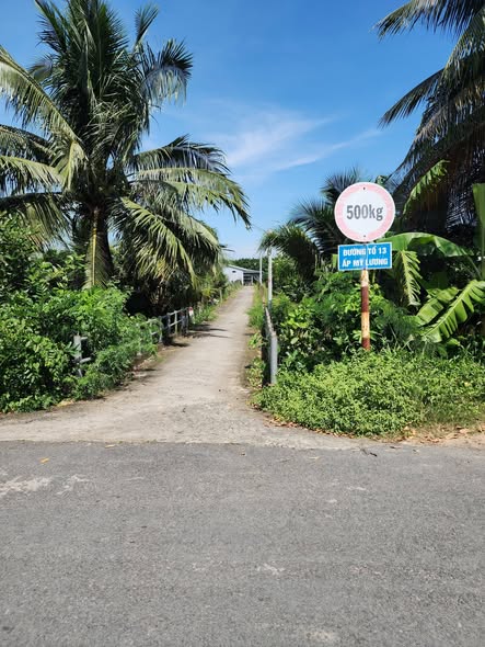 Đất nở hậu Mỹ Phong 256m² giá 800 triệu - Sổ hồng chính chủ!