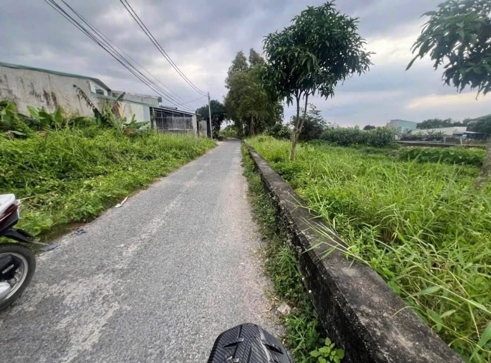 Đất thổ cư mặt tiền kênh Bình Mỹ, Củ Chi 227m² giá 3.8 tỷ - Đầu tư sinh lời ngay!