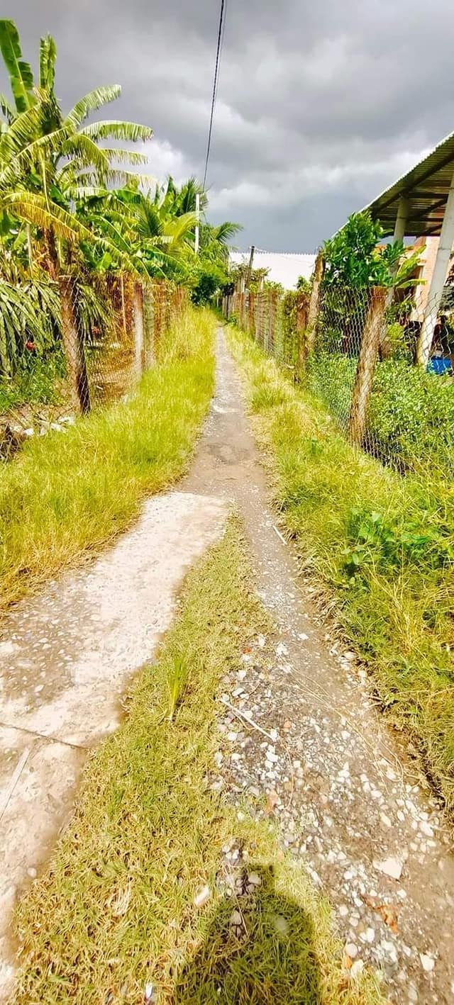 Nhà trọ 15 phòng ở ấp 5, xã Hiệp Thạnh, Châu Thành 275m² giá 1.2 tỷ - Đầu tư sinh lời ngay!